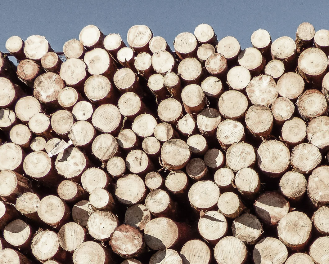 自有技術(shù)研發(fā)團(tuán)隊(duì) 滿(mǎn)足市場(chǎng)高要求